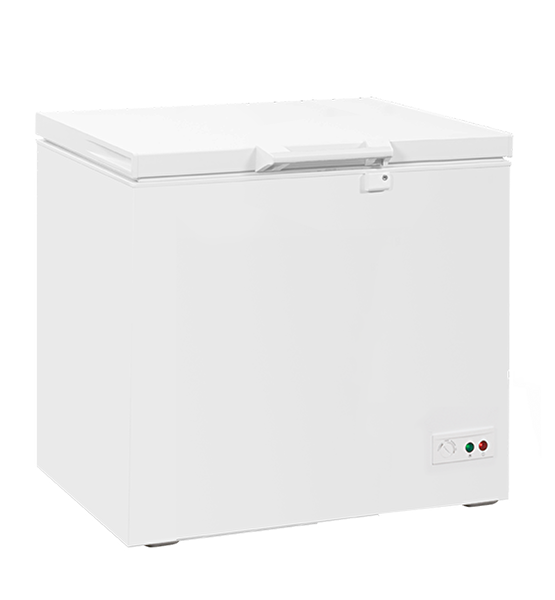 Tecna 2202 200 L Derin Dondurucu